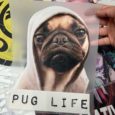 High-Quality Ready To Press Pug Life Dog DTF Heat Transfer Stickers – Customizable Size On Durable PET Film For T-Shirt Branding & Custom Pug Design